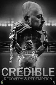 Poster do filme Credible