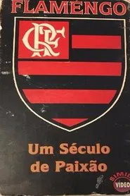 Poster do filme Flamengo: A Century of Passion
