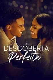 Poster do filme A Descoberta Perfeita