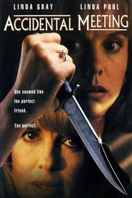 Accidental Meeting movie poster