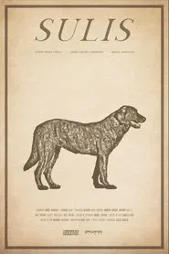 Sulis movie poster