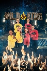 Poster da série Wild Kids