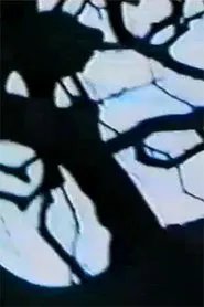 Chrysalides en explosion movie poster