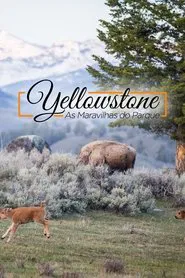 Poster da série Yellowstone - As Maravilhas do Parque