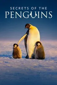 Secrets of the Penguins tv show poster