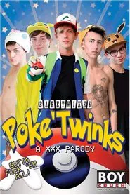 Poster do filme Poke' Twinks XXX Parody