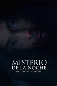 Mystery of the Night movie poster