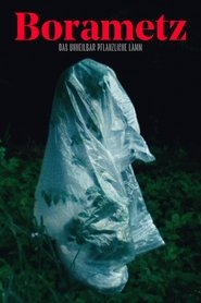 Borametz movie poster