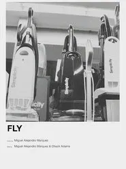 Fly movie poster
