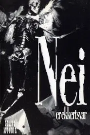 Poster do filme No Is No Answer