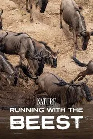 Running With The Beest movie poster