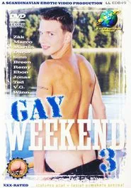 Gay Weekend 3 movie poster