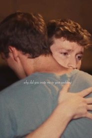 Why Did You Invite Me to Your Wedding movie poster