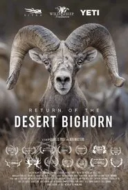 Poster do filme Return of the Desert Bighorn