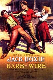 Barb Wire movie poster