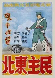 Capturing the Turtle in the Jar movie poster
