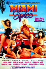 Miami Spice movie poster