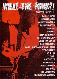What the Punk - An MVD Sampler movie poster