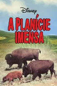 Poster do filme A Planície Imensa
