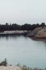 Les Ronds dans l'eau movie poster