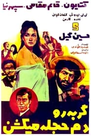 Poster do filme Gorbeh ro dameh hejleh mikoshan
