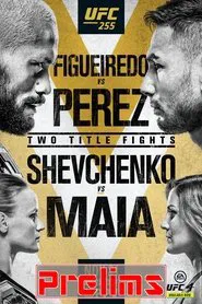UFC 255: Figueiredo vs. Perez - Prelims movie poster