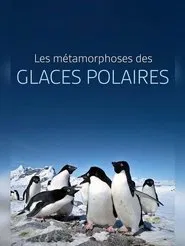 Les métamorphoses des glaces polaires : Un défi pour les écosystèmes movie poster