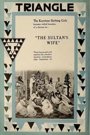 Poster do filme The Sultan's Wife
