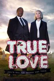 Truelove tv show poster
