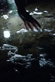 Brigid of Murroe movie poster