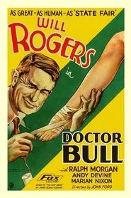Poster do filme Doutor Bull