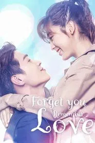 Poster da série Forget You Remember Love