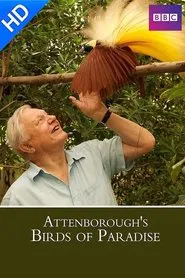 Birds of Paradise movie poster