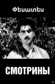 Visiting the Groom movie poster