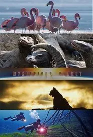 Mysterious Planet tv show poster