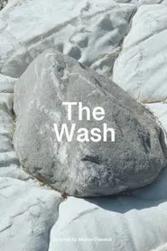 The Wash movie poster
