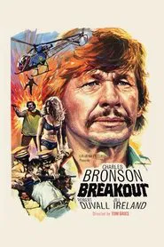 Breakout movie poster