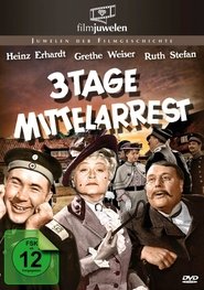 Drei Tage Mittelarrest movie poster