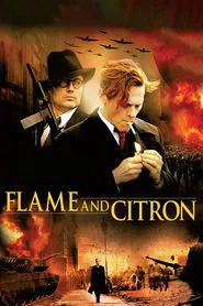 Flame & Citron movie poster