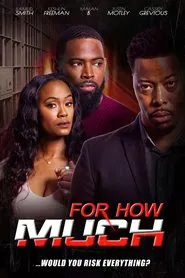 Poster do filme For How Much