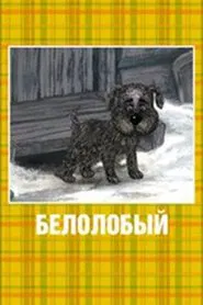 White-Browed movie poster