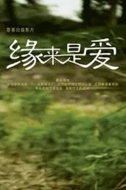 缘来是爱 movie poster