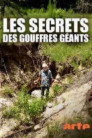 Les secrets des gouffres géants movie poster