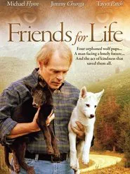 Friends for Life movie poster