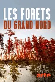 Les forêts du Grand Nord movie poster