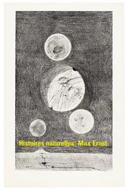 Histoires naturelles : Max Ernst movie poster