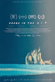 Crabs in the Air movie poster