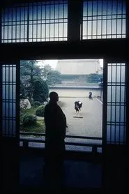 In the World of Zen movie poster