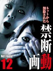 Poster do filme Not Found 12