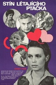 Shadow of a Flying Bird movie poster